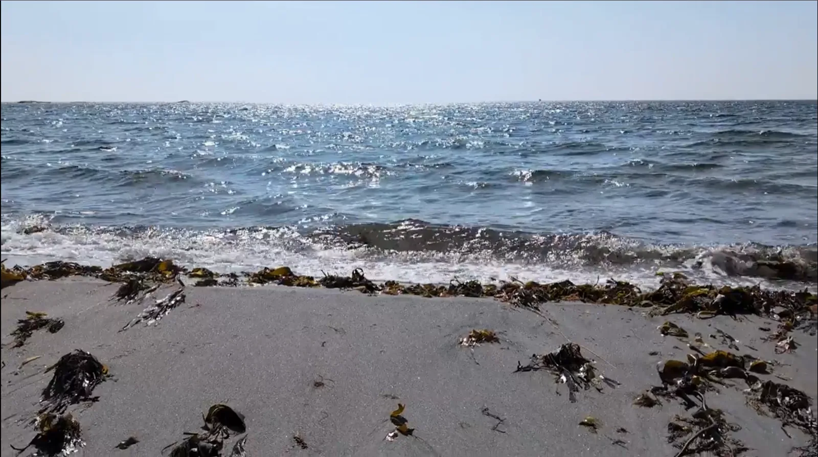 A poor swim photograph with too much foreground